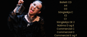 Jólasýning 4 - kl. 17.15